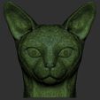 21.jpg Abyssinian cat head for 3D printing