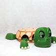 014.jpg Turtle cup holder  (No Supports needed)
