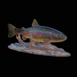 pstruh-klacky-1-8.png rainbow trout 2.0 underwater statue detailed texture for 3d printing
