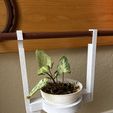 Nursery-Pot-Hanger-Angle-with-Syngonium.jpeg Nursery Pot Hanger