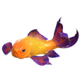 PNG.png GOLDFISH Guppy Blue Grass FISH TOAD AMPHIBIAN TADPOLE ANIMAL ANATOMY 3D MODEL WATER OCEAN RIVER BOAT SALMON SHARK