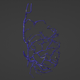 9.png 3D Model of Canine Brain with Arteries