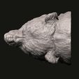 5.jpg Grizzly head 3D print model