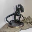 1744900265408.jpg Alien Xenomorph (3 poses Bundle)