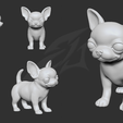 bb.png Cute Puppy Chihuahua Dog STL and VRML