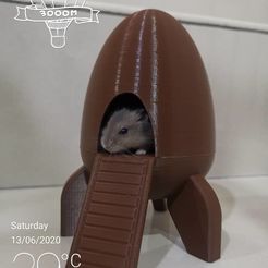 WhatsApp Image 2020-06-13 at 4.28.52 PM.jpeg STL-Datei Rocket House for Pet・Modell zum Herunterladen und 3D-Drucken