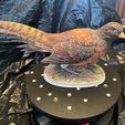 IMG_7713.jpeg Pheasant Hen Sculpture