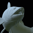 zander-open-mouth-tocenej-48.png fish zander / pikeperch / Sander lucioperca trophy statue detailed texture for 3d printing