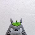 Totoro(My Neighbor Totoro), Noxec