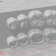 Mndibula-2.png Modelo de Formação Dentária Restauração (Mandíbula)/Modelo de Entrenamiento Dental Restauración (Mandíbula)