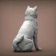 shiba-inu3.jpg shiba inu 3D print model