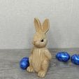 1711876321932.jpg Lapin de Pâques 10cm - Easter bunny 10cm