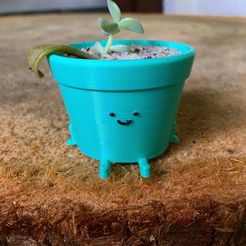 WhatsApp-Image-2021-12-11-at-21.44.23-8.jpeg pot cute extended version succulent planter
