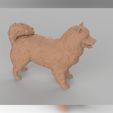 03.jpg Samoyed model 3D print model