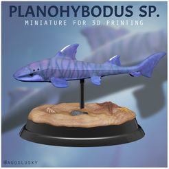 JHYBODUS SP. 7 USLUSKY PREHISTORIC SHARK PLANOHYBODUS SP.