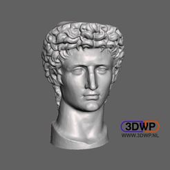 Augustus1.jpg Download free STL file Head Of Roman Emperor Augustus 3D Scan • Model to 3D print, 3DWP
