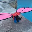 IMG_2615_preview_featured.jpg Push Toy, Butterfly