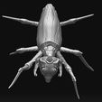 5.jpg Crawler