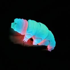 Tardigrade (ourson d'eau, porcelet de mousse) corps imprimé sur place, tête encliquetée, mignonne-flexi