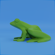 0021.png Frog stylized