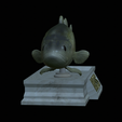 Bass-statue-7.png fish Largemouth Bass / Micropterus salmoides statue detailed texture for 3d printing