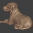 I8.jpg Dog - Labrador Statue