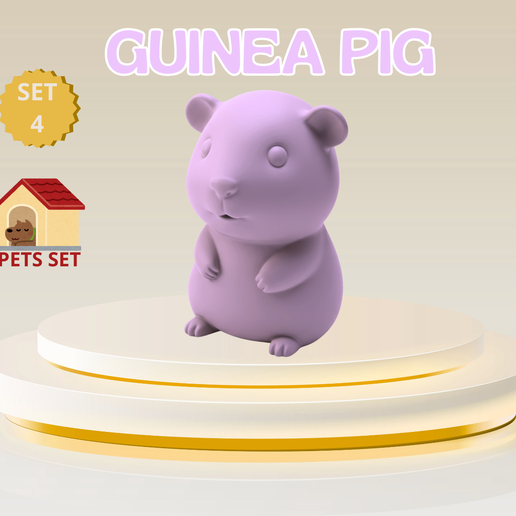 Cute Mini Guinea Pig – Commercial
