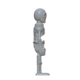 Skel-03.png Skeleton