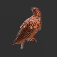 Screenshot_4.png Low Poly - Noble Eagle Magnificent Design