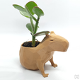 Capy_pot_3.png Capybara Flower Pot