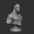Preview8.png Файл 3D The Witcher Bust・3D модель для печати скачать