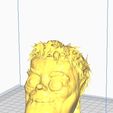 Captura-de-Pantalla-2024-02-10-a-las-10.57.17.jpg HEAD AYUWOKI 3D PRINT STL FILE MICHAEL JACKSON MEME HEAD 100 MM EASY PRINT GRINDERKING