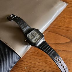 IMG_3947.jpg Casio Watch Strap Replacement