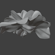 Garden_Rose2.png Hi-Res Garden Rose