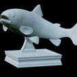 Rainbow-trout-trophy-25.png rainbow trout / Oncorhynchus mykiss fish in motion trophy statue detailed texture for 3d printing