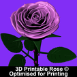 op.png Rose | 3D Printable Rose ©
