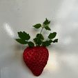 IMG_0511.jpg Strawberry Planter
