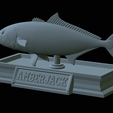 Greater-Amberjack-statue-43.png fish greater amberjack / Seriola dumerili statue detailed texture for 3d printing