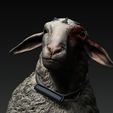 ZBrush-Doc354354ument.jpg T Ocellus Alien Sheep