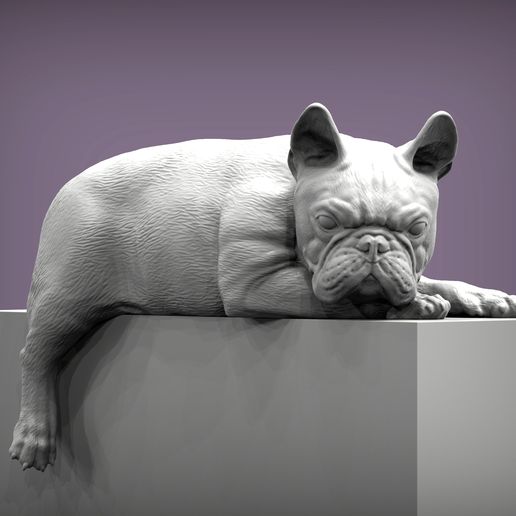 French-Bulldog2.jpg Archivo 3D Modelo de impresión en 3D de un Bulldog Francés・Objeto imprimible en 3D para descargar, akuzmenko