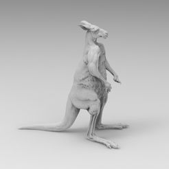 untitled.1848.jpg kangaroo