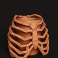 D7.9.jpg Ribcage Skeleton Planter | Gothic Anatomy Flower Pot | Dark Aesthetic Decor 3D Print