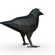 4.jpg crow figure 2