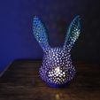 DSC_0058.jpg Voronoi easter bunny lamp