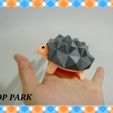 Tortue Spongieuse