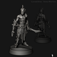 ArenaCult_Warrior_01.png Cursed Elves 2.0 - Arena Cult Set