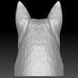 10.jpg German Shepherd head for 3D printing
