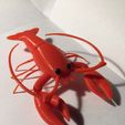 Lobster01.jpg Homard