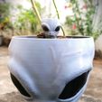 IMG20230825151321.jpg Alien Halloween Decoration, Plant Pot, Flowerpot, Bowl, Vase