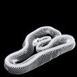 0.jpg SERPENTE ROSPO ANFIBIO RETTILE COBRA PITONE VIPERA ANIMALE ANATOMIA 3D MODELLO SCHELETRO OCEANO OSSA